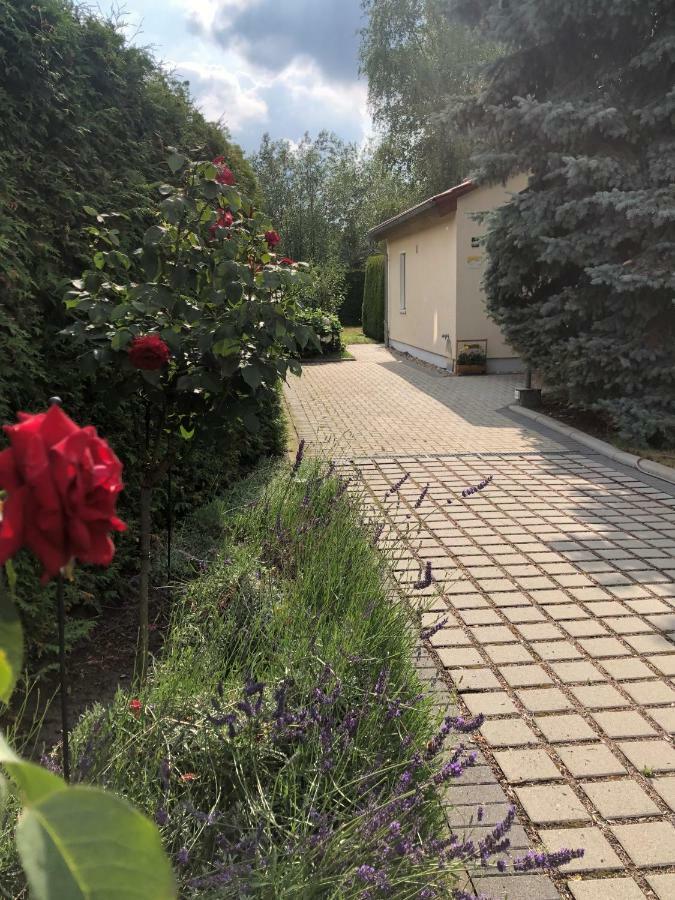 Ferienhaus Zur Blautanne Klipphausen Экстерьер фото
